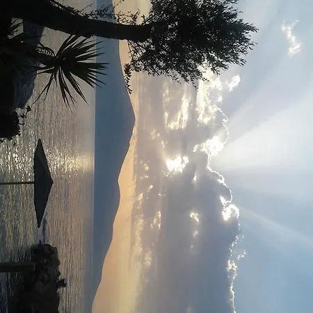 Lantställe Sasha Vlorë