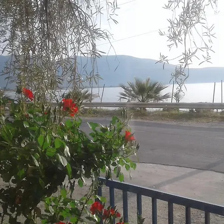 Lantställe Sasha Vlorë