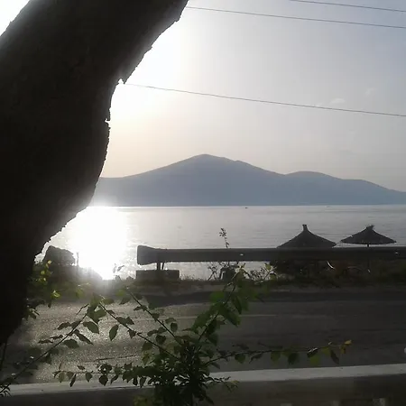 Sasha * Vlorë