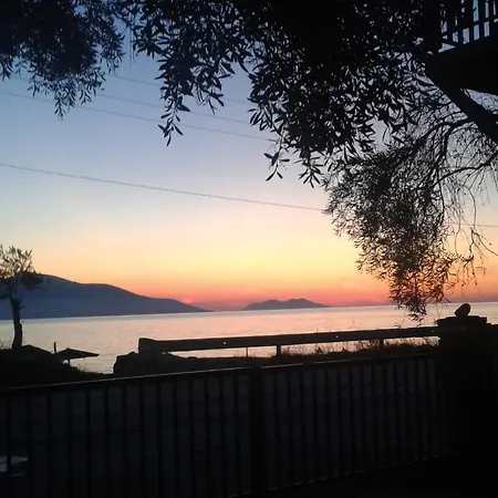 Sasha Lantställe Vlorë