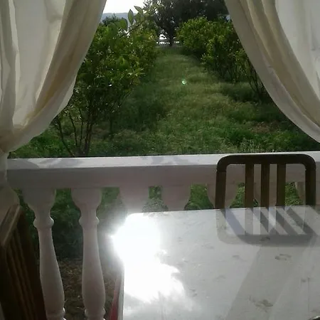 Sasha Lantställe Vlorë
