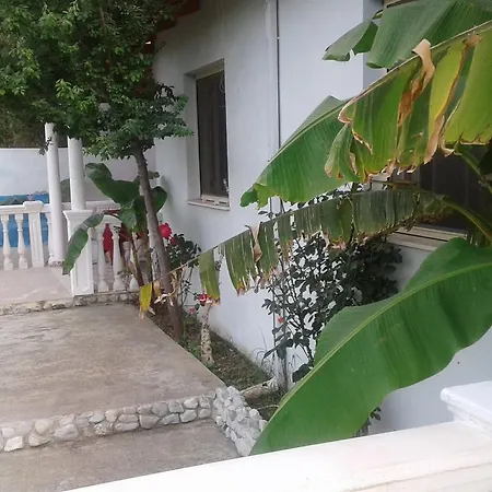 Lantställe Sasha Vlorë
