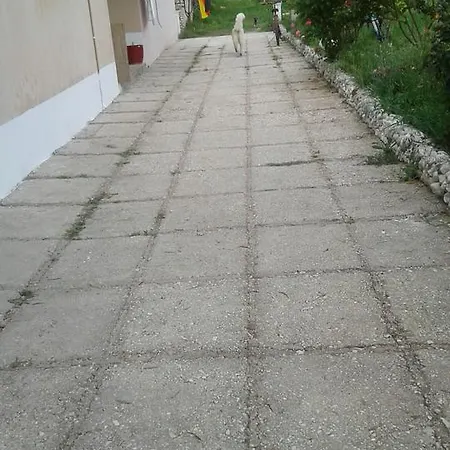 Sasha * Vlorë