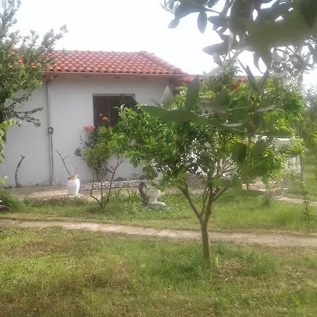 Sasha Lantställe Vlorë
