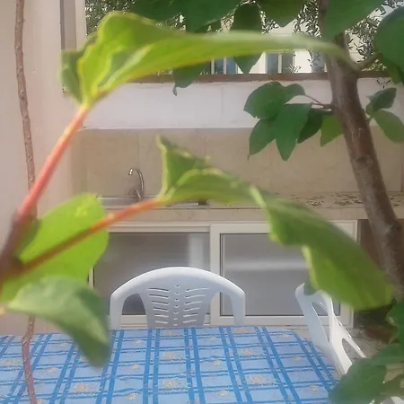 Sasha * Vlorë