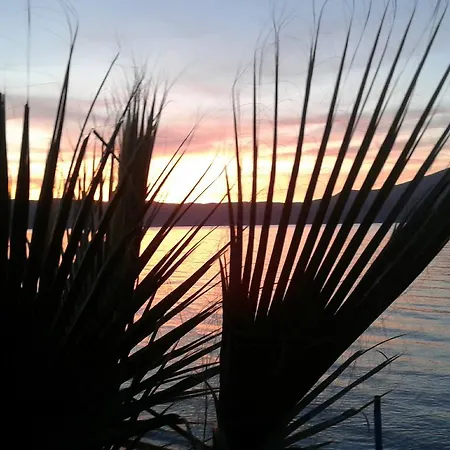 Sasha * Vlorë
