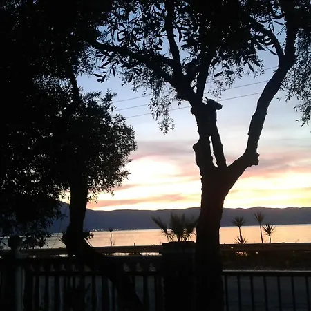 Sasha * Vlorë